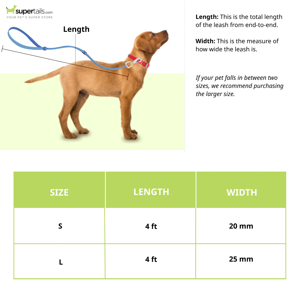 Zoomiez Solar Printed Leash for Dogs - Runbopad