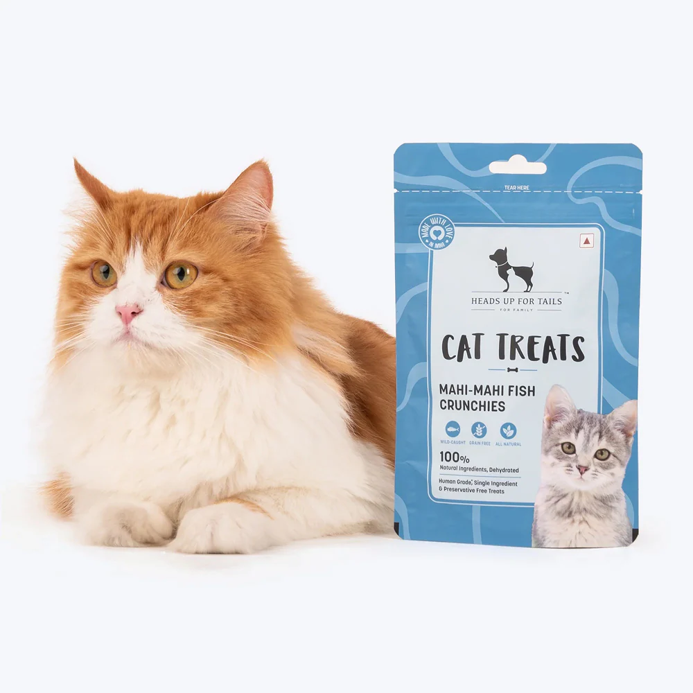 HUFT Mahi Mahi Fish Crunchies Chew Cat Treats - Runbopad