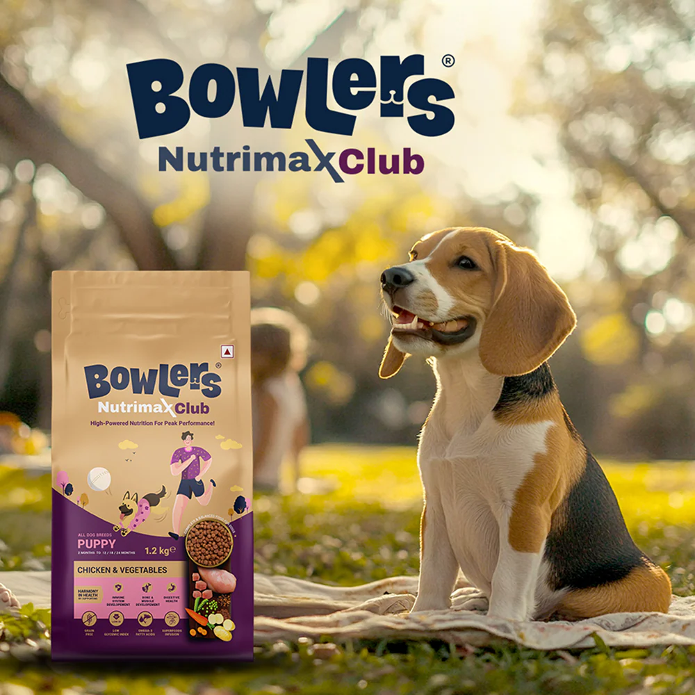Bowlers Nutrimax Club Puppy Dog Dry Food - Runbopad