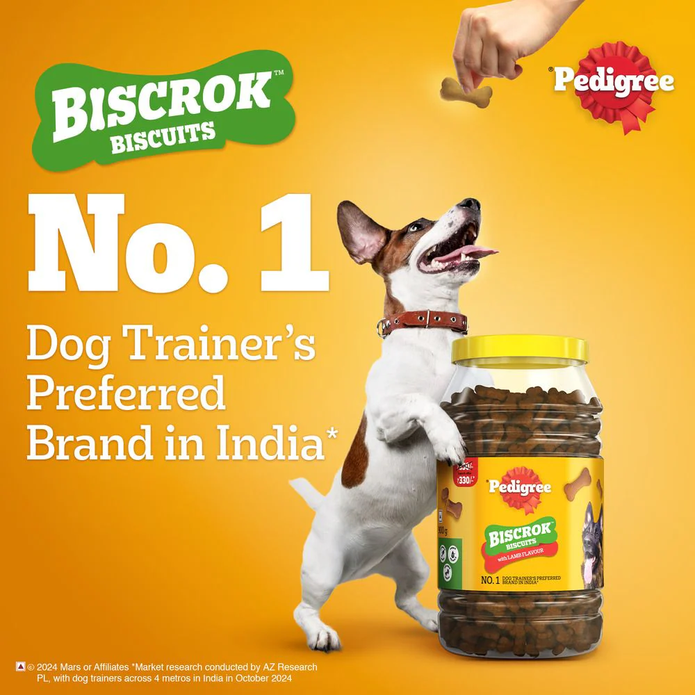 Pedigree Lamb Flavour (4+ Months) Biscrok Biscuits Jar Treats for Dogs - Runbopad