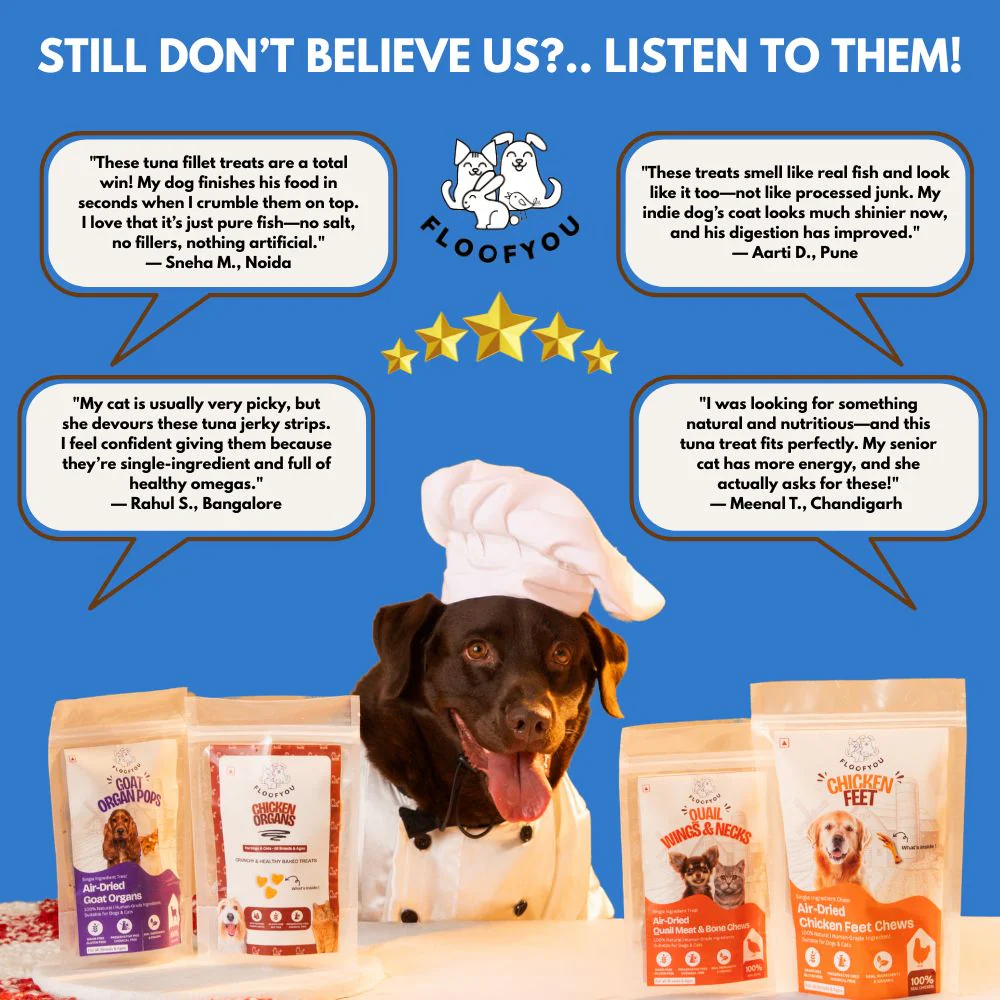 FloofYou Air Dried Tuna Fish Fillet Dogs & Cats Treat - Runbopad