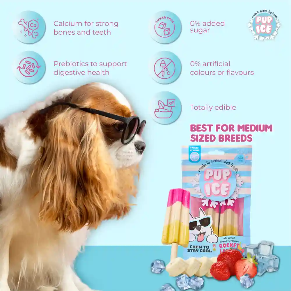 Pup Ice Strawberry and Banana Flavoured Rocket Lollies Dog Treat - Runbopad