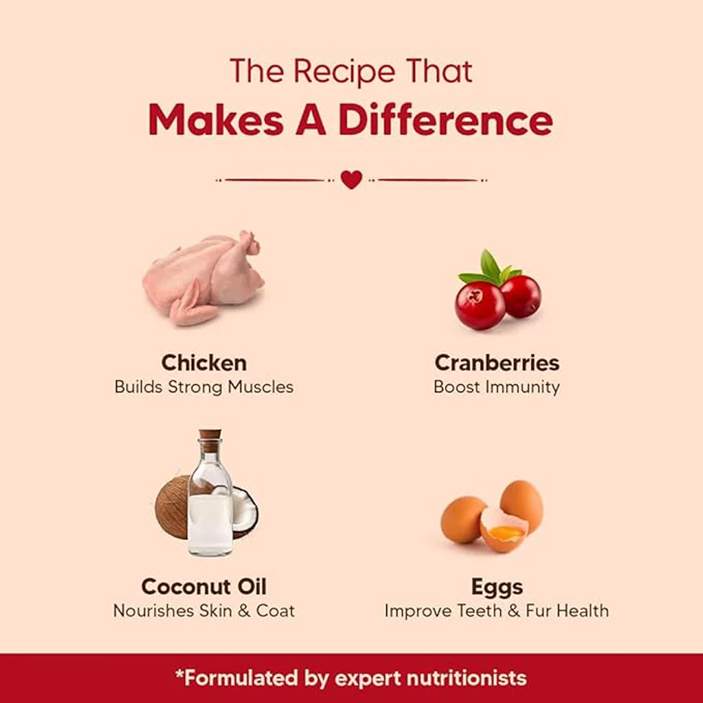 HUFT Hearty Chicken & Cranberries Healthy Biscuit Dog Treats - Runbopad