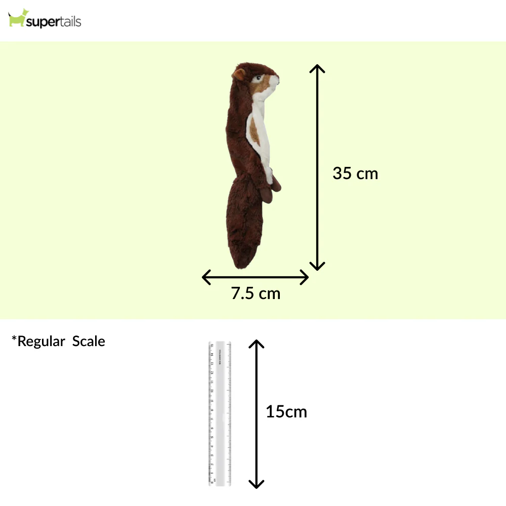 Talking Dog Club Chipmunk Stuffless Plush Toy for Dogs (Brown) - Runbopad