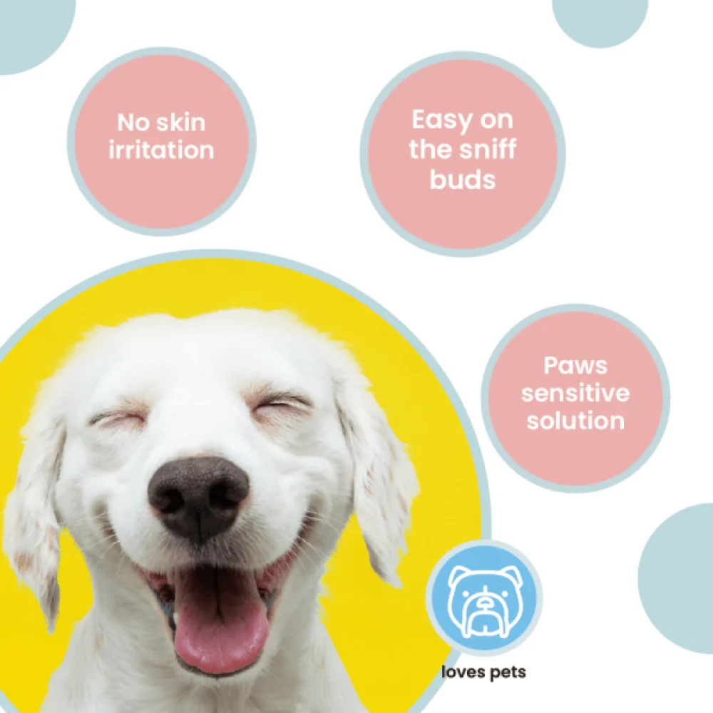 Koparo Clean Natural Citrus Orange Fragrance Kennel Wash (Pet Safe) - Runbopad