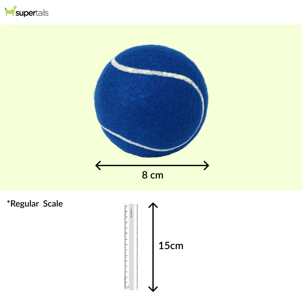 Talking Dog Club Tennis Ball Toy for Dogs (Blue) - Runbopad