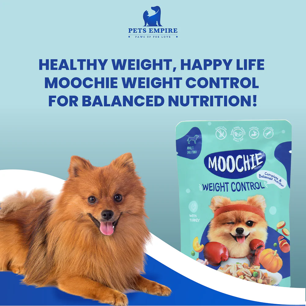 Moochie Weight Control Casserole with Turkey Gravy Adult Dog Wet Food - Runbopad