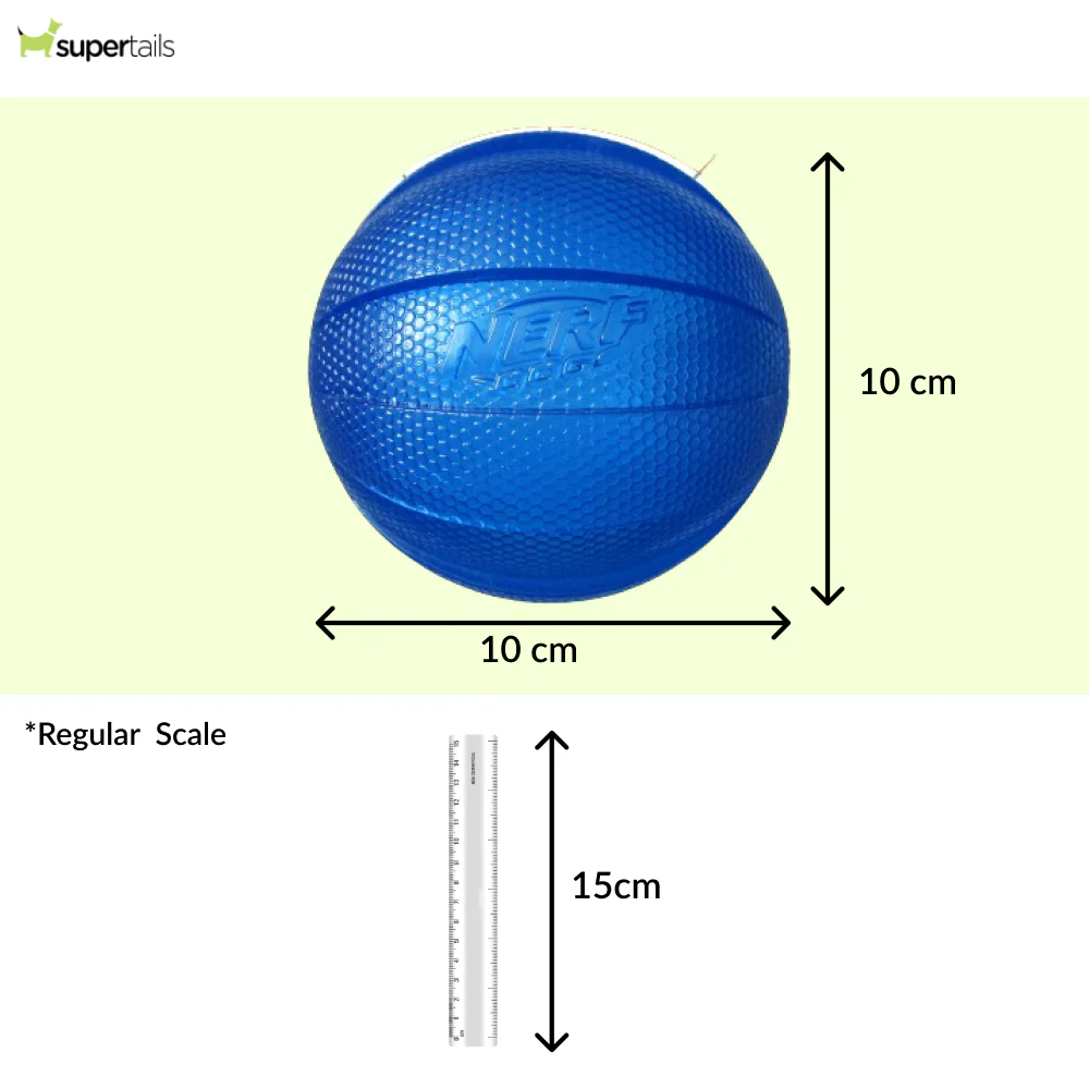 Nerf Dog Classic Squeak Transparent TPR Ball Toy for Dogs (Blue) - Runbopad