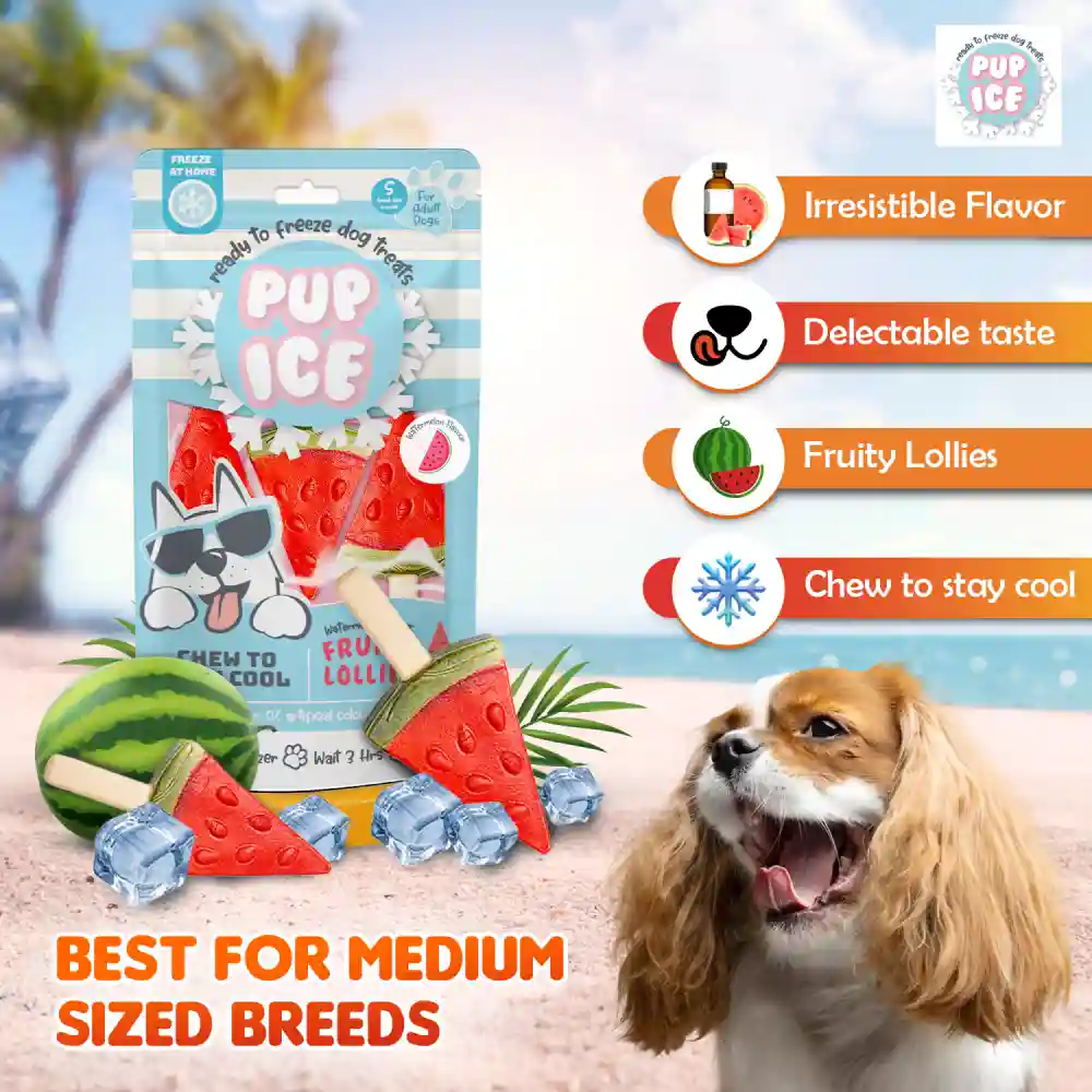 Pup Ice Watermelon Flavoured Fruity Lollies Dog Treat - Runbopad