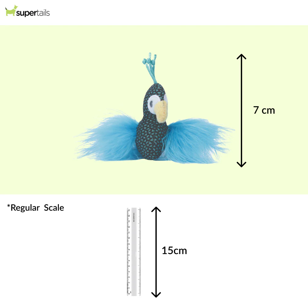 M Pets Plume Peacock Catnip Toy for Cats (Blue) - Runbopad