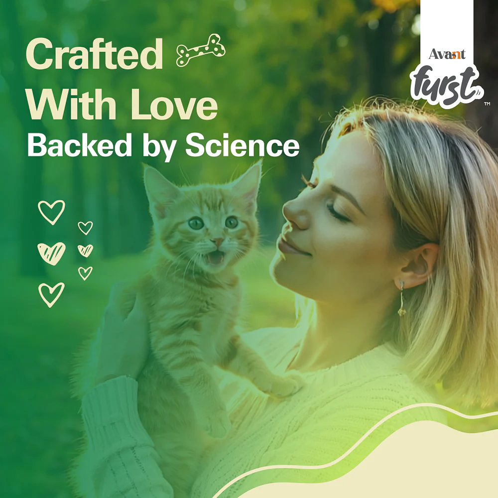 Avant Furst Ocean Fish Flavour Kitten Cat Dry Food - Runbopad