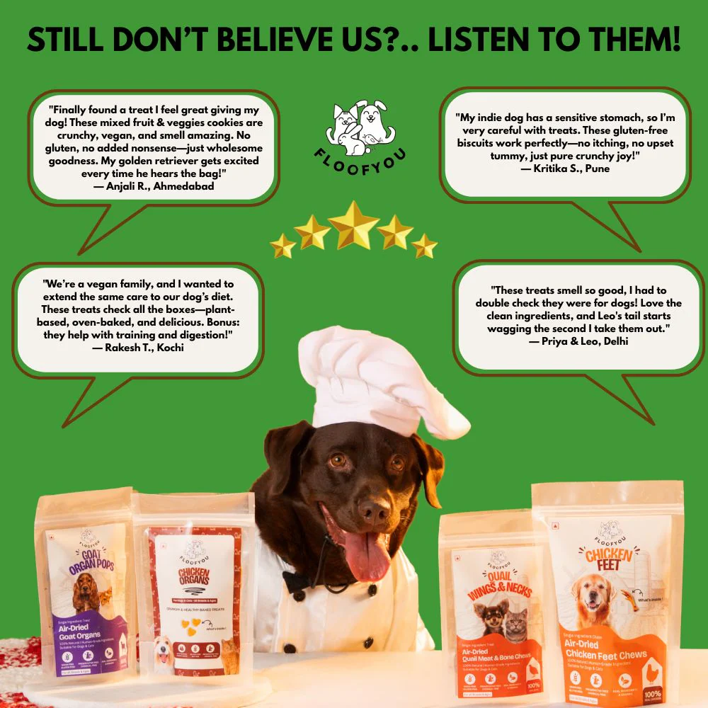 FloofYou Oven Baked Mixed Fruit and Veggies Dog Treats - Runbopad