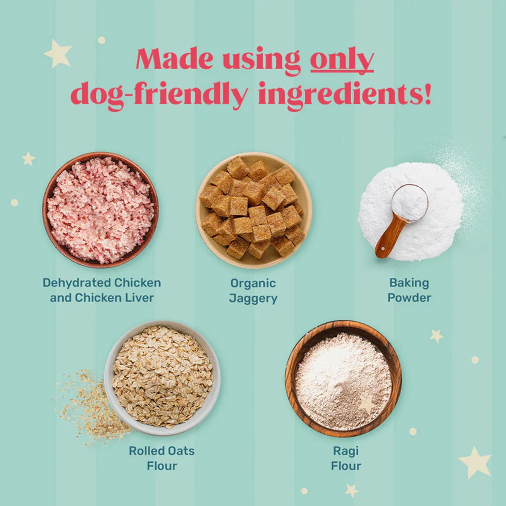 HUFT Gluten Free Instant Chicken Cake Frosting Mix Dog Treats - Runbopad