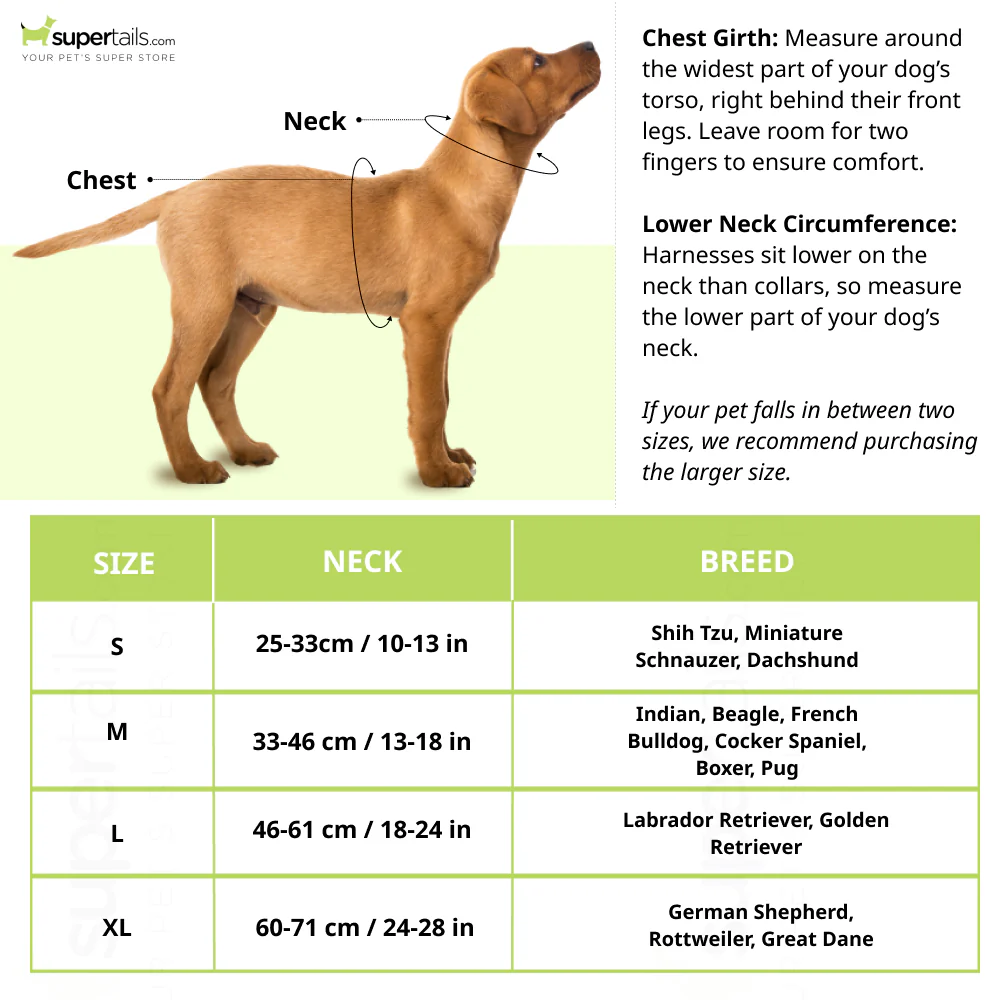 Aramesh Fire and Ice Martingale Collar for Dogs (Orange and Green) - Runbopad