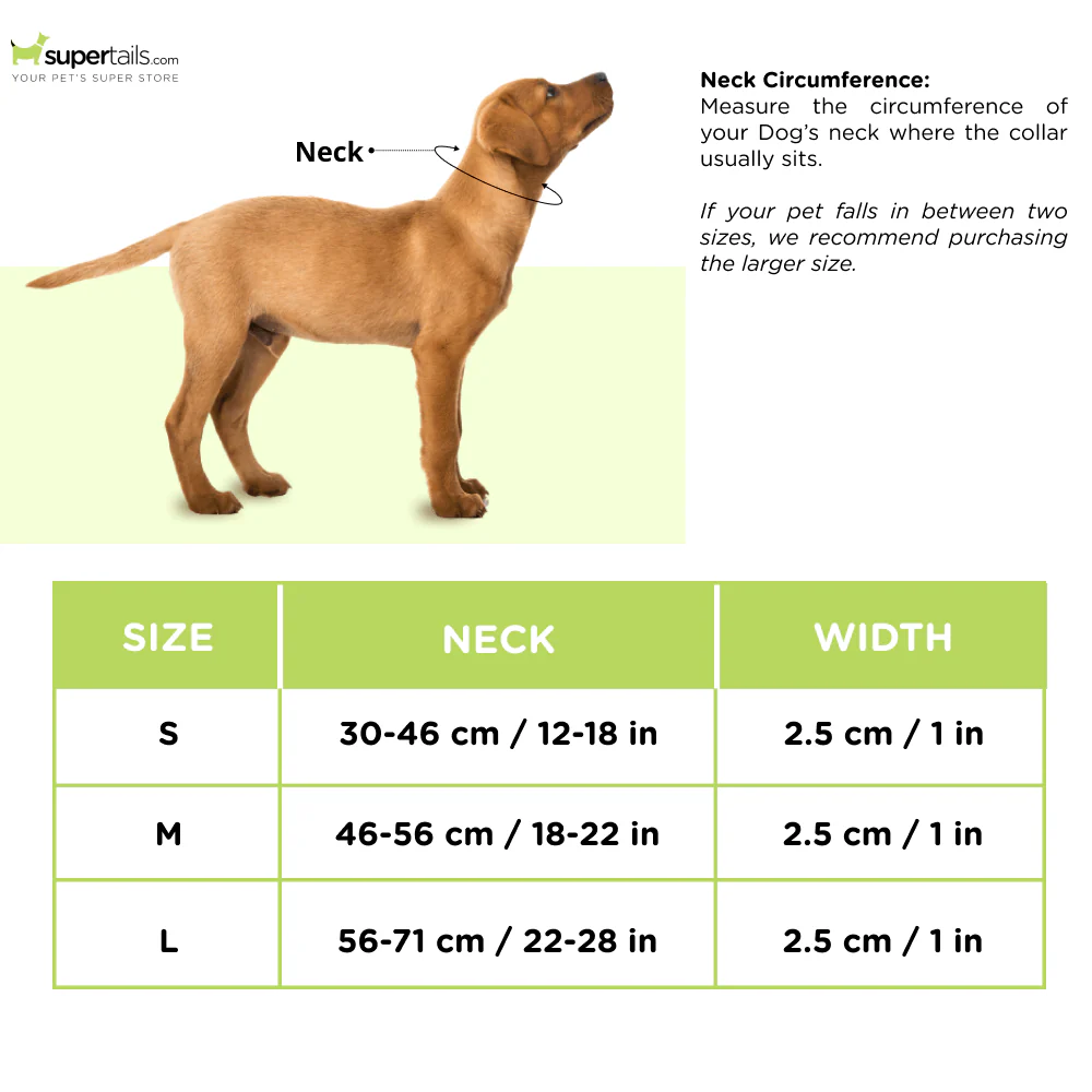 Harry Potter Potions In Motions Collar for Dogs - Runbopad