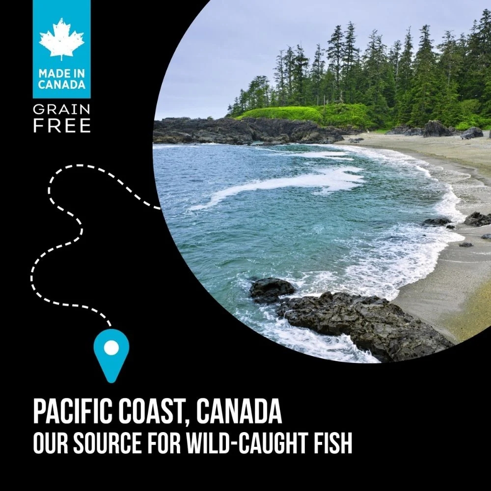 Nutrience SubZero Canadian Pacific High Protien Dog Dry Food - Runbopad