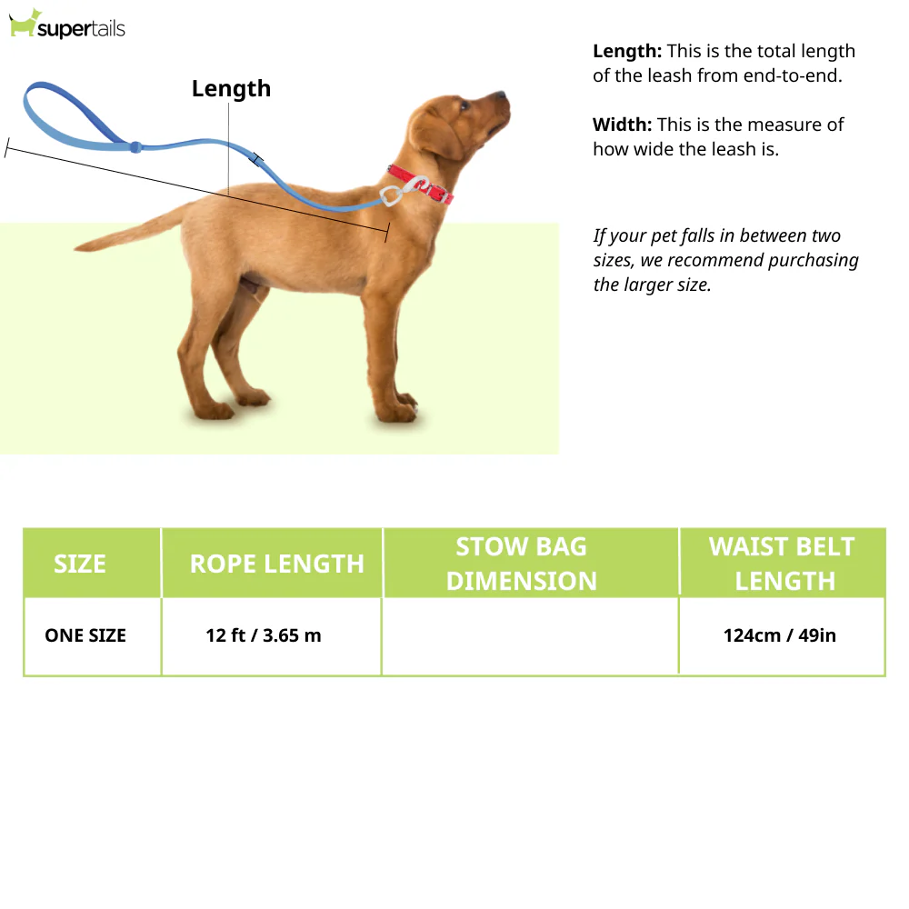 Ruffwear Hitch Hiker Leash for Dogs (Aurora Teal) - Runbopad