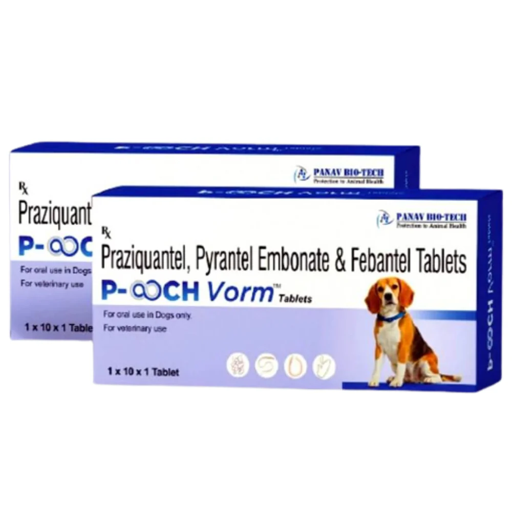 Dyntec Pooch Vorm Dewormer Tablets for Dogs (pack of 10 tablets) - Runbopad