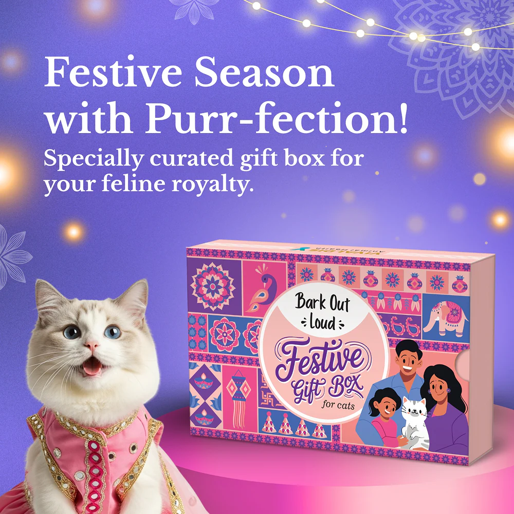 Bark Out Loud Festive Gift Box for Cats - Runbopad