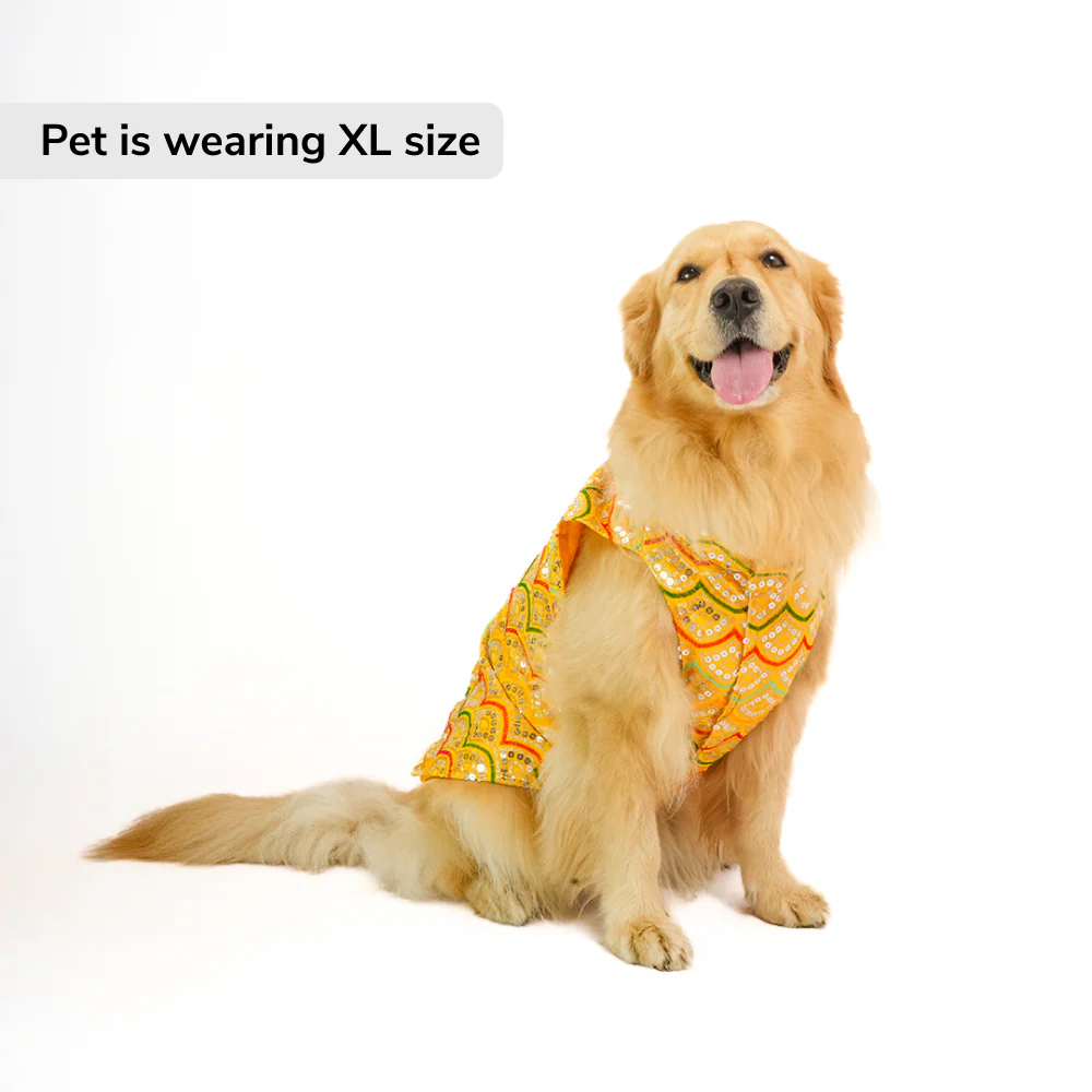 Skatrs Festive Sequence Embroidered Sherwani for Cats and Dogs (Yellow) - Runbopad
