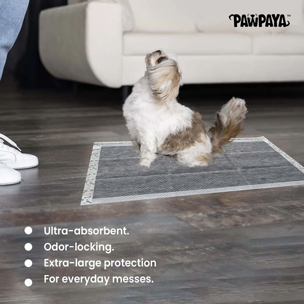 Pawpaya Carbon Training Pad for Dogs (White) - Runbopad