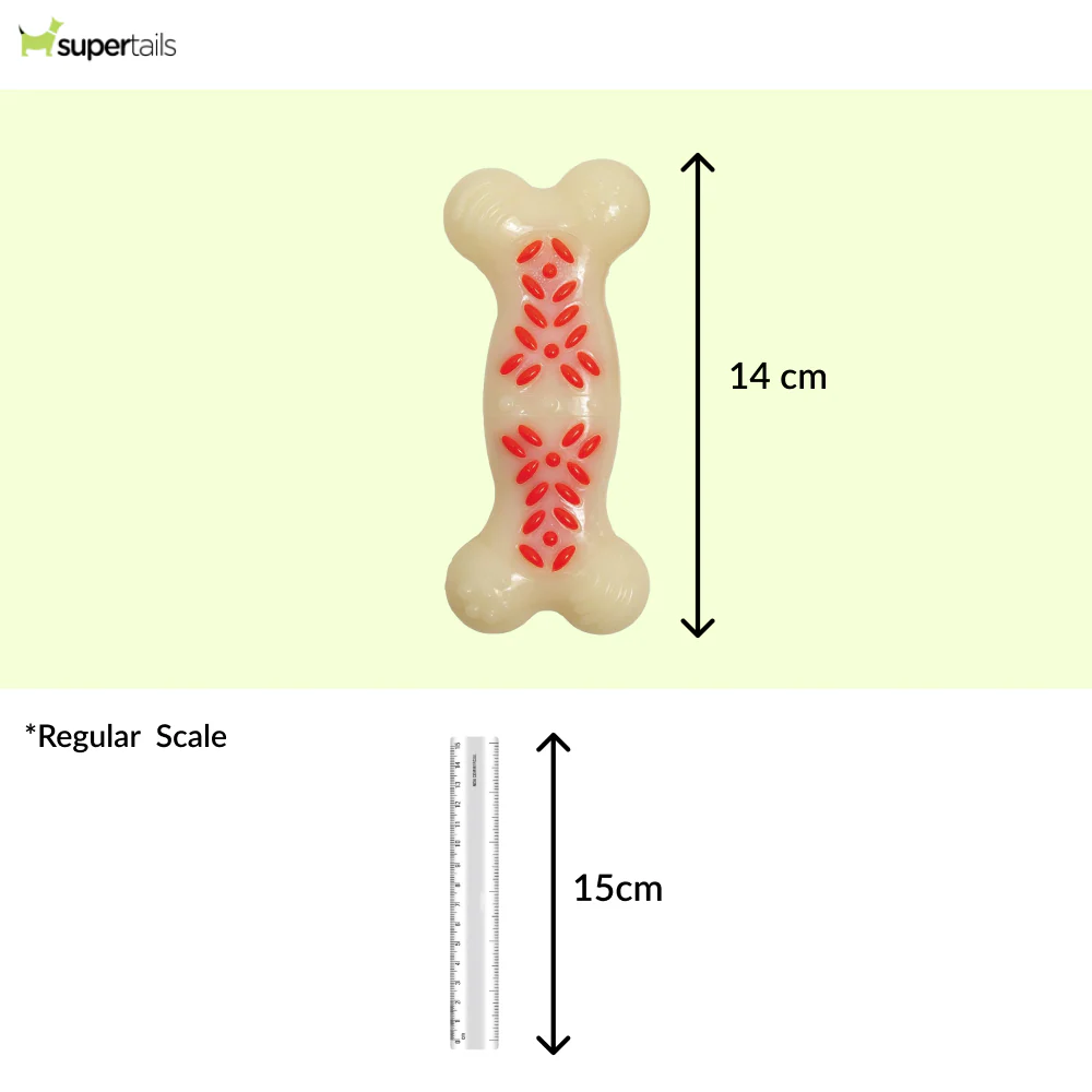 Nylabone Power Action Ridges Bone Chew Toy for Dogs - Runbopad