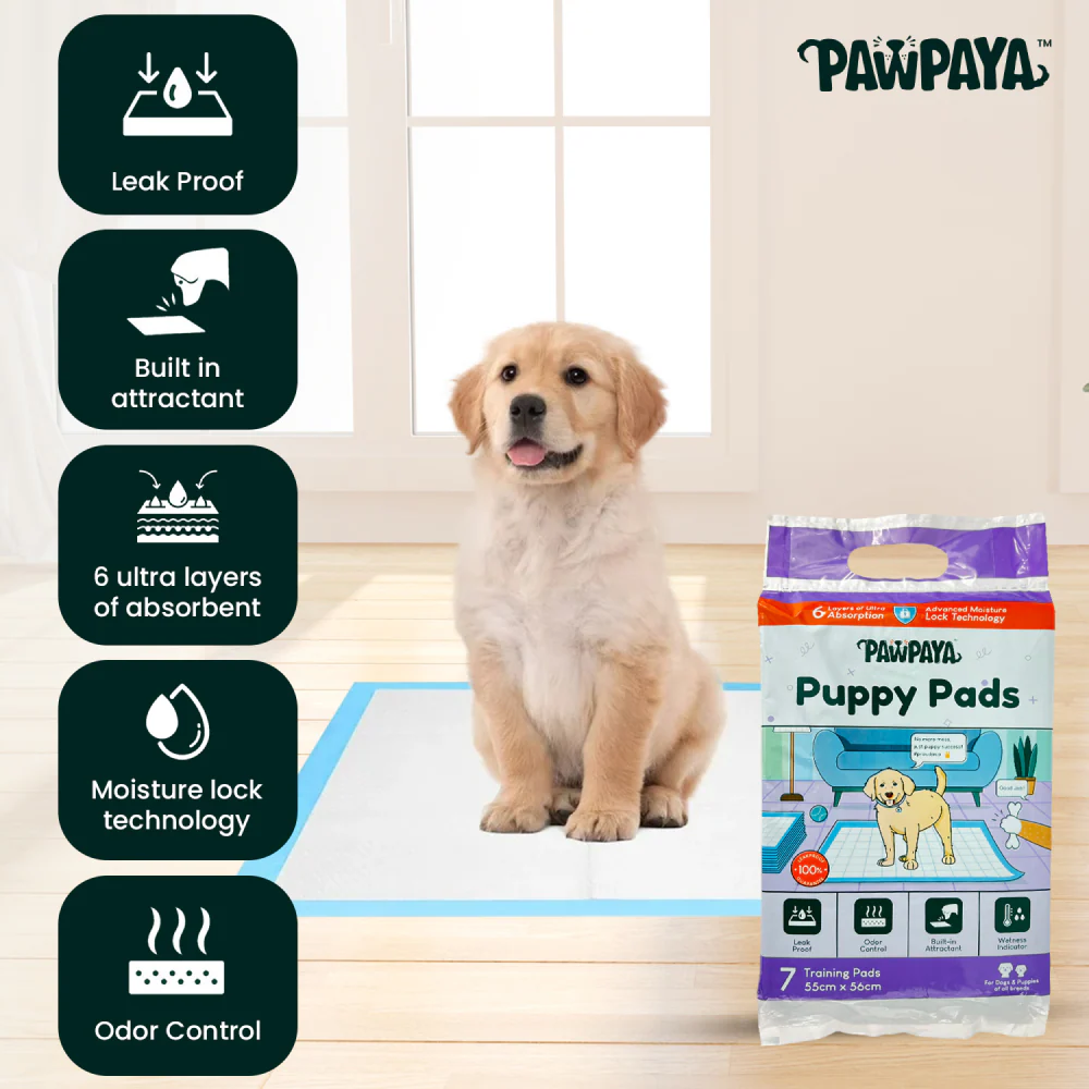 Pawpaya Training Pad for Dogs (White) - Runbopad