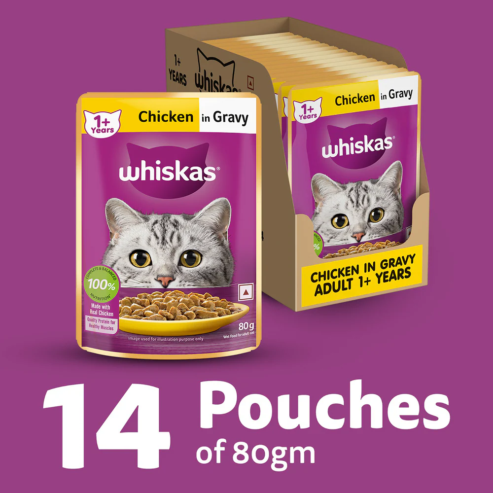 Whiskas Chicken in Gravy Adult Cat Wet Food - Runbopad