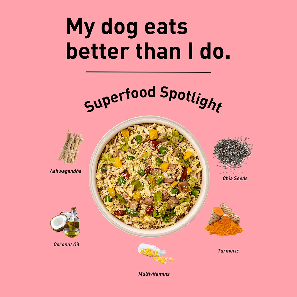 Homiee & Ginger Power Bowl Chicken & Sweet Potato Fresh Food for Dogs - Runbopad