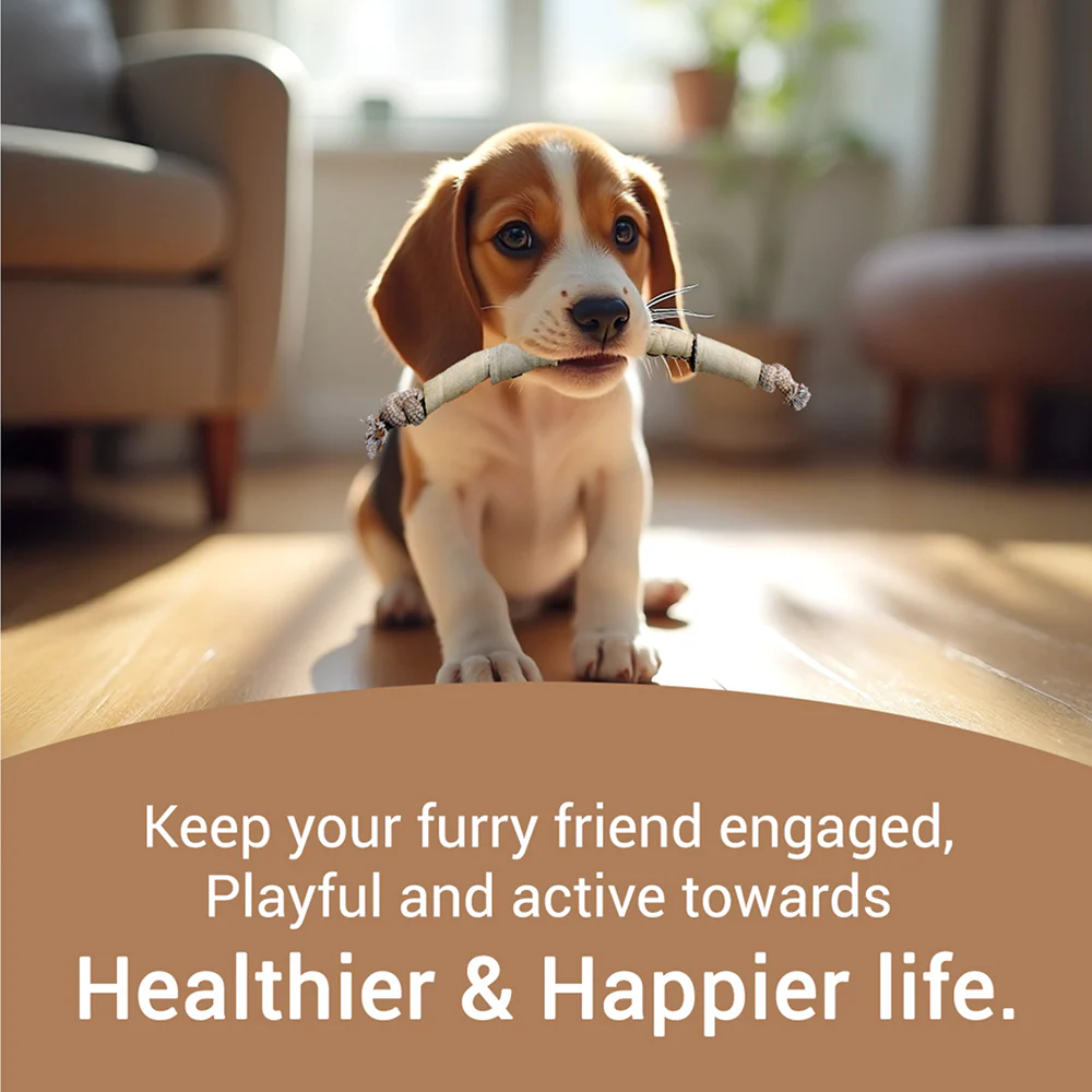 Bowlers Chewrope Caterpillar Functional Dog Treat Toy - Runbopad