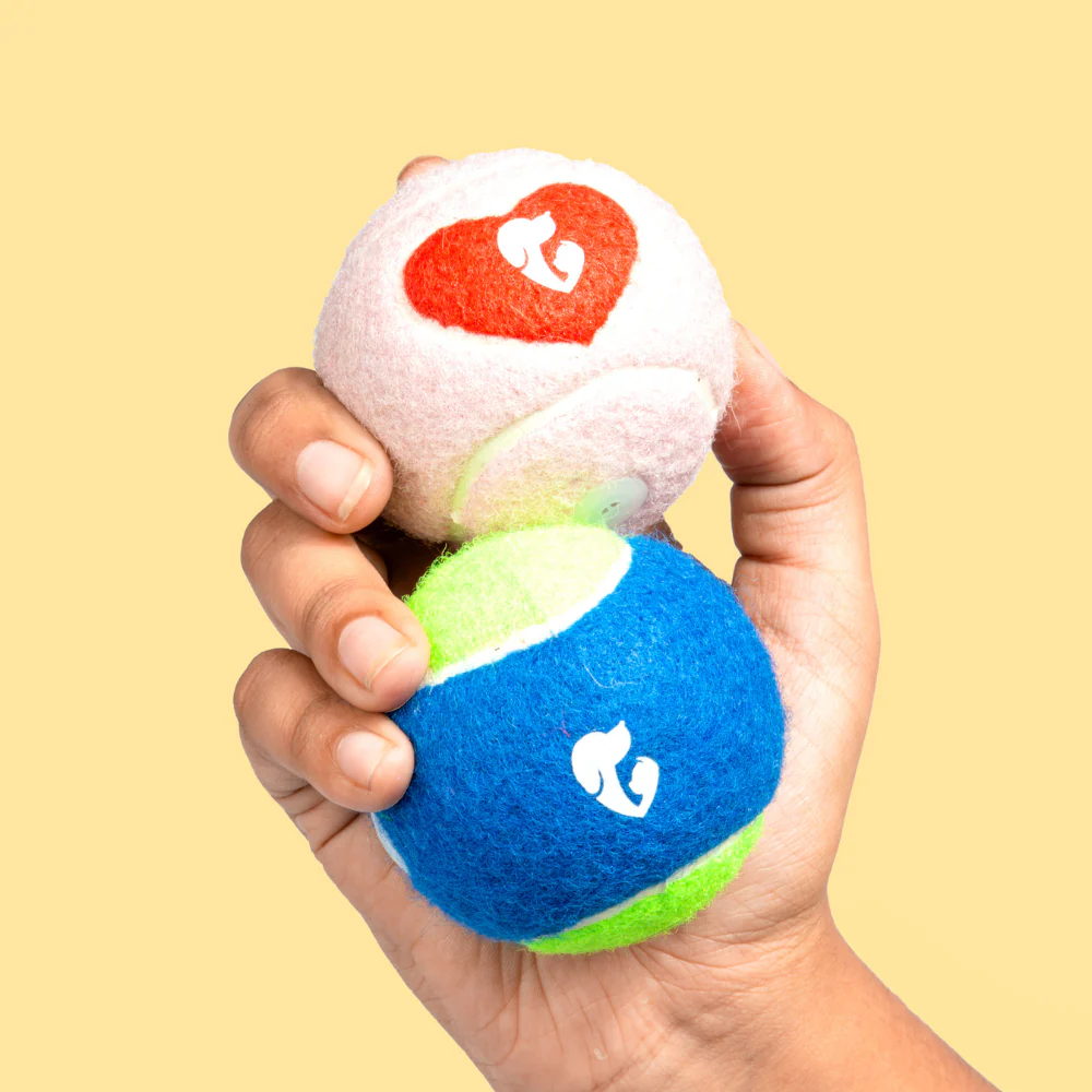 Pet Set Go Squeak Ball Toy for Dogs (Pink) - Runbopad