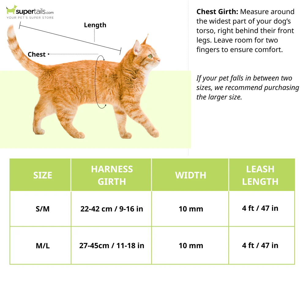 Trixie Harness with Leash for Cats & Kittens (Green) - Runbopad