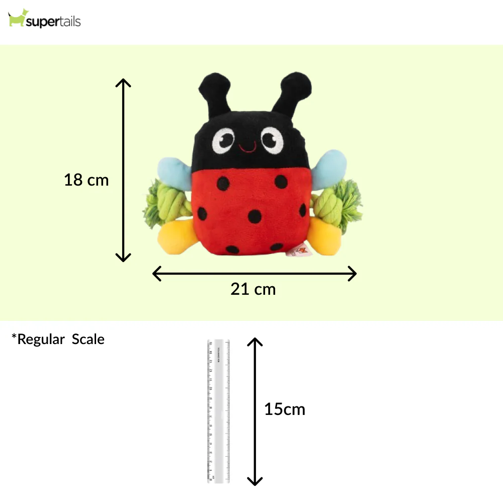 Barkbutler x Fofos Garden Ladybug Plush Toy for Dogs - Runbopad