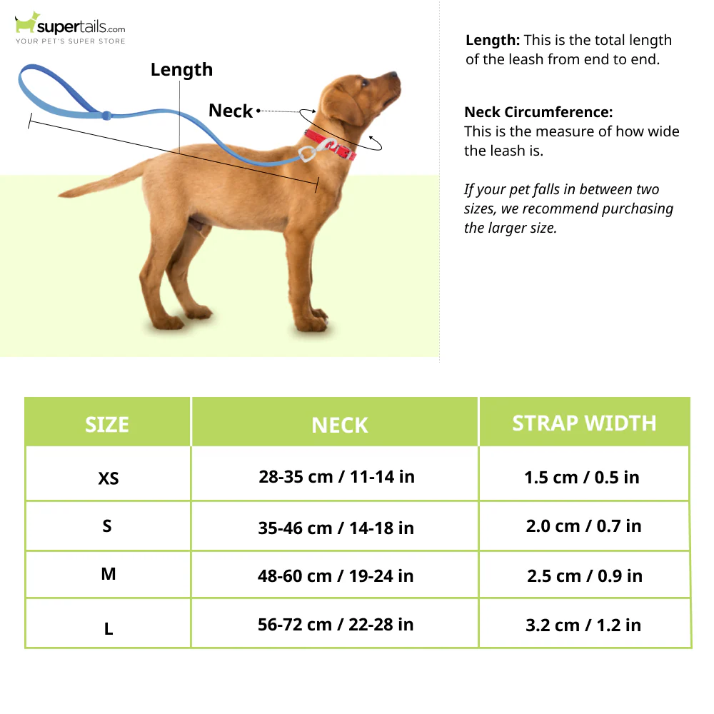 Glucklich Martingale Printed Adjustable Collar for Dogs (Dark Night) - Runbopad