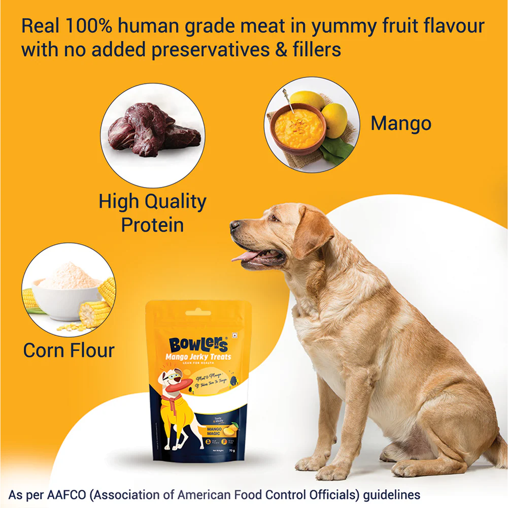 Bowlers Mango Jerky Dog Treats - Runbopad