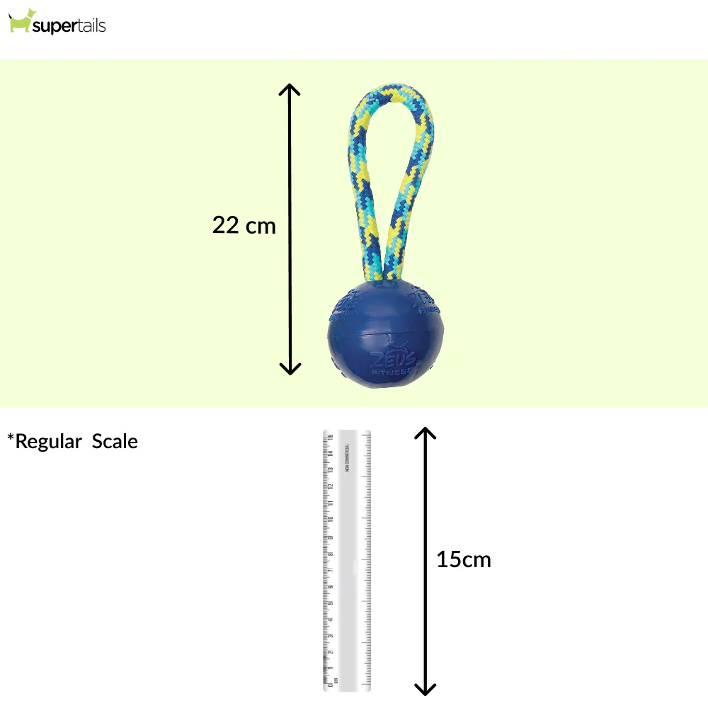 Zeus Rope Ball Tug with Single Hand Loops Toy for Dogs (Blue) - Runbopad