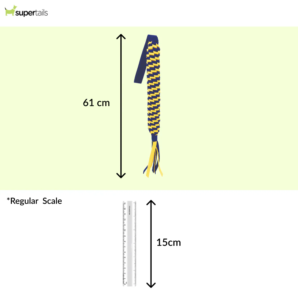 Petsport Twisted Chew Spring Tug Toy for Dogs - Runbopad