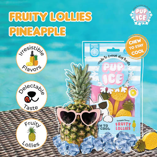 Pup Ice Pineapples Flavoured Fruity Lollies Dog Treat - Runbopad