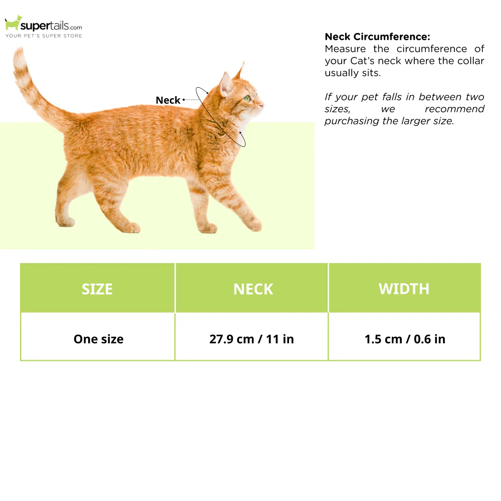 Trixie Elastic Collars with Bell for Cats (Orange) - Runbopad