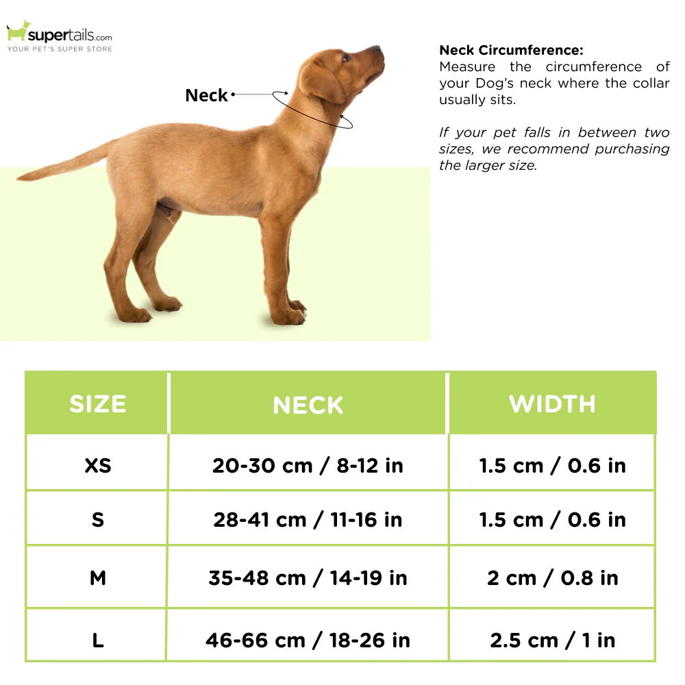 Zoomiez Bolt Printed Collar for Dogs - Runbopad