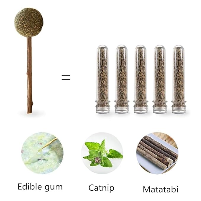 Skatrs Catnip Lollipop Natural Wooden Teeth Cleaning Toy for Cats and Kittens - Runbopad