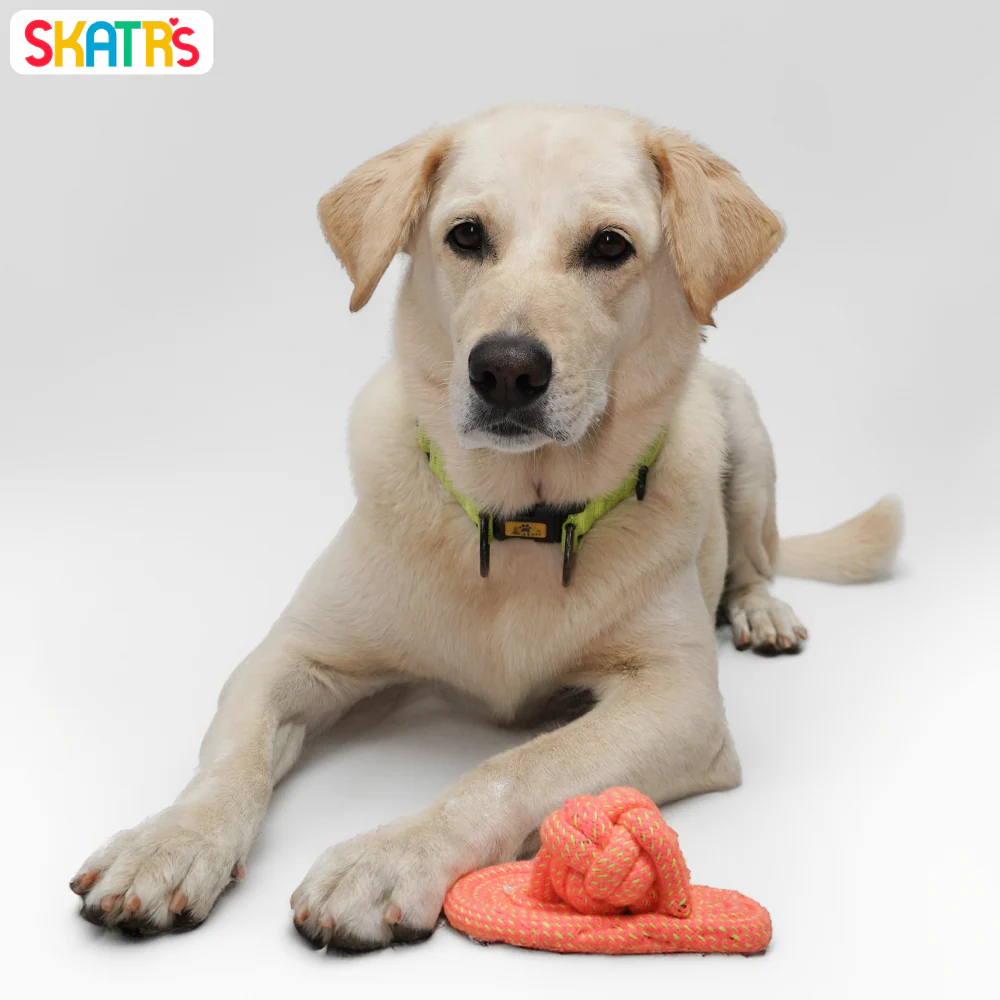 Skatrs Sandal Shaped Hand Made, Durable Rope Chew Toy for Dogs & Cats (Orange) - Runbopad
