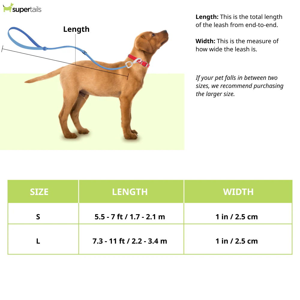 Ruffwear Roamer Bungee Leash for Dogs (Granite Gray) - Runbopad