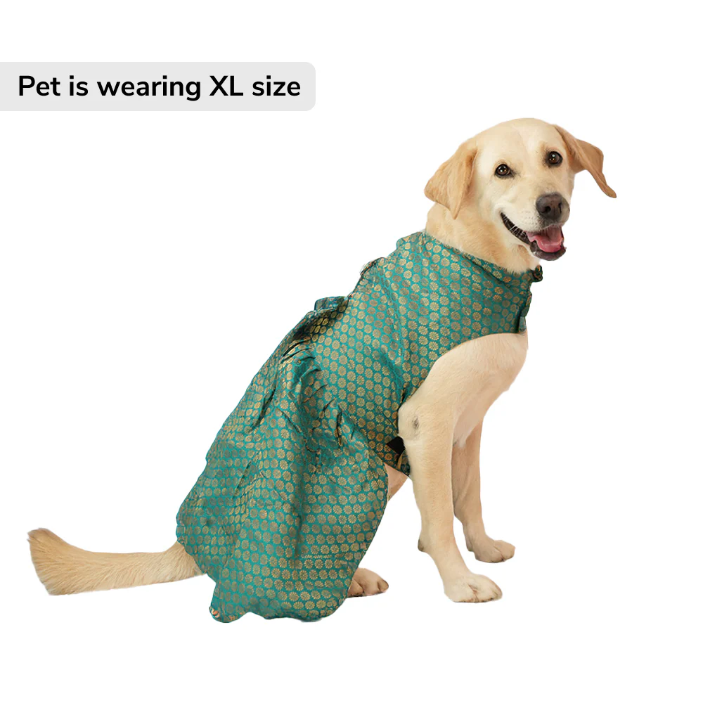 Skatrs Brocade Gold Printed Dress for Dogs and Cats (Teal) - Runbopad