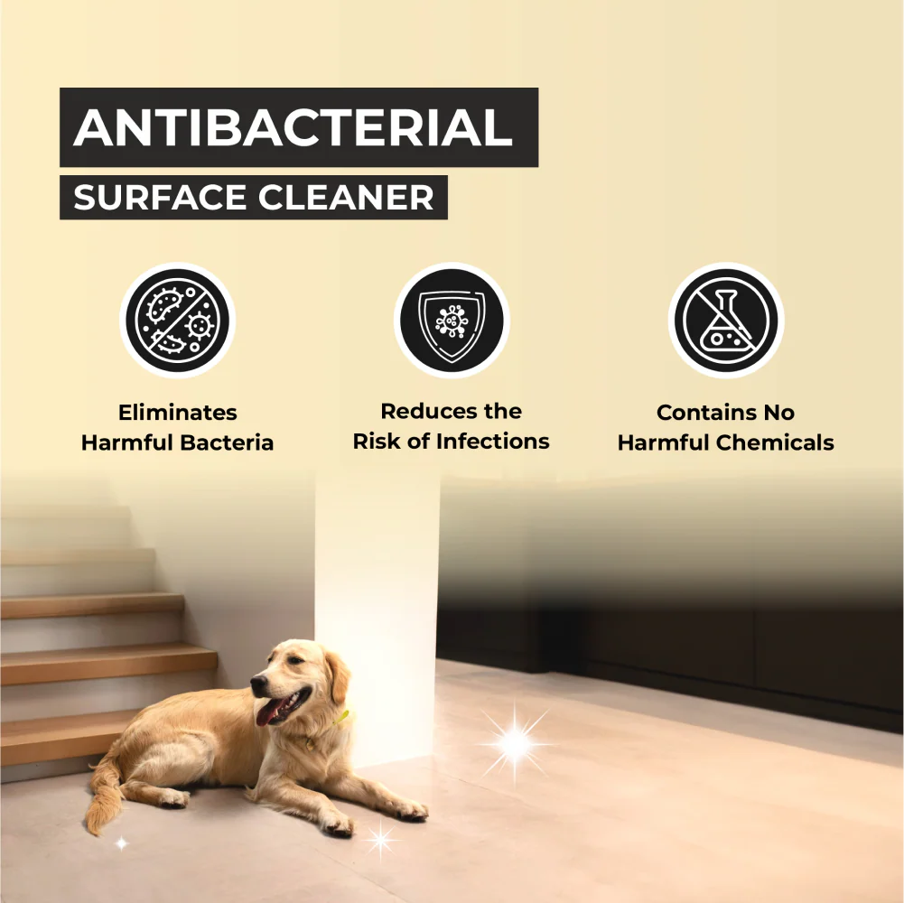 FurBall Story Petly Anti Microbial and Anti Bacterial Surface Cleaner - Runbopad
