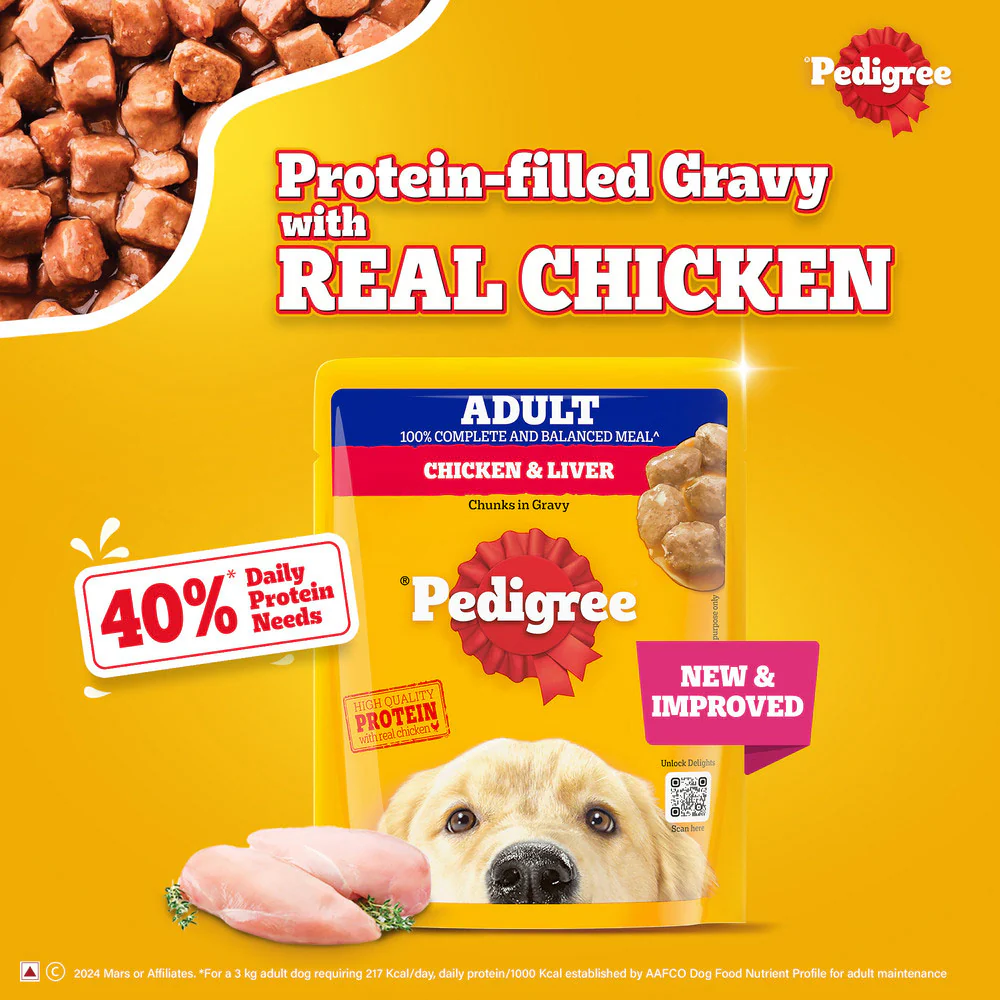 Pedigree Chicken and Liver Chunks in Gravy Adult Dog Wet Food (70g) - Runbopad