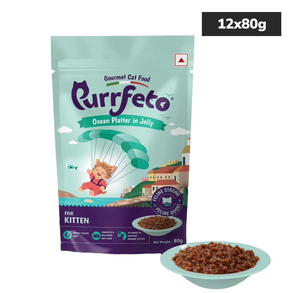Purrfeto Oceanfish Recipe in Jelly Kitten Cat Wet Food - Runbopad