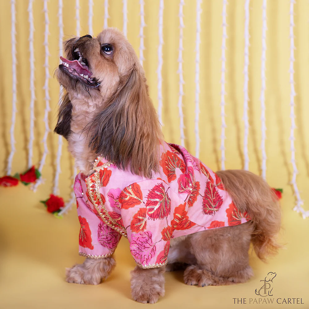 The Papaw Cartel Maple Print Sherwani with Sequins for Dogs & Cats (Pink/Orange) - Runbopad