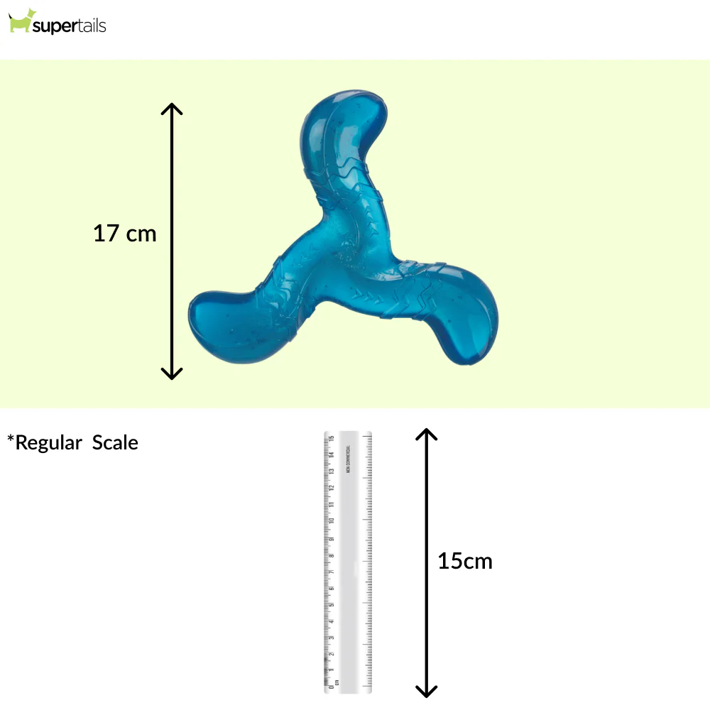 Trixie Triplex Bungee Boomerang Chew Toy for Dogs (Blue) - Runbopad