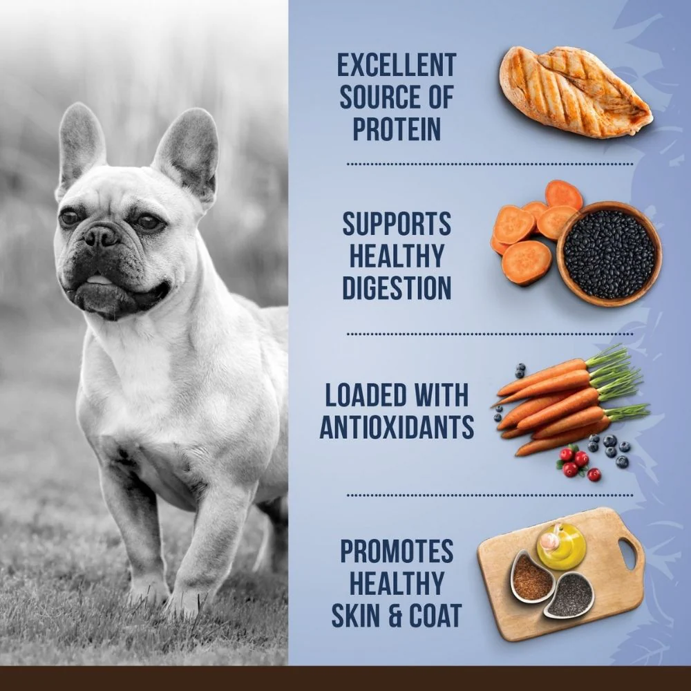 Zoe Chicken, Quinoa and Black Bean Small Breed Adult Dog Dry Food - Runbopad